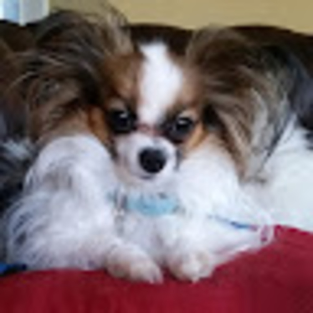 Meet your Posher, Christine